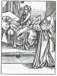 Of Foolish Physicians and Unlearned that Only Follow Practice Knowing Nought of the Speculation of Their Faculty, Illustration from Alexander Barclay
